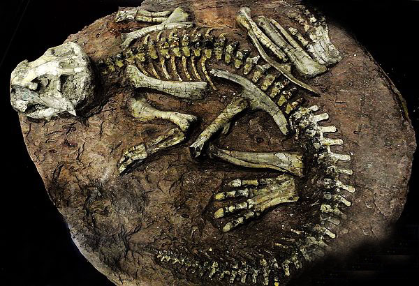 ʡţɽ´Ͽصˮ ԿʯΪչɫйϿż԰