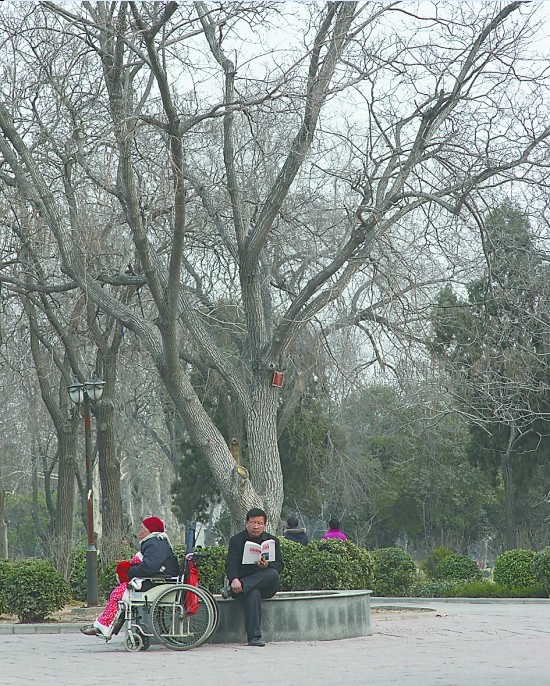 ѾƵĹľ256 ûŵġɫ