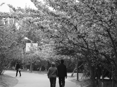 뽶ַϽɡֲ԰ ΪӦַ