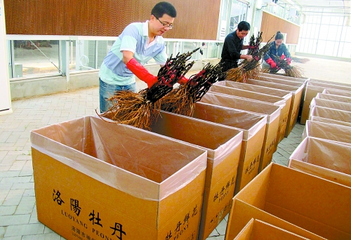 2013̨ɼϪĵĻ 8000ĵ̨