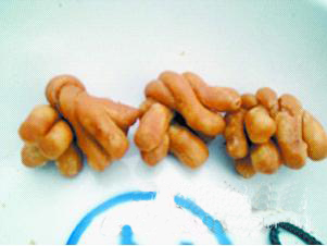 ѰֺϳǼצ黨С黨  ҵ