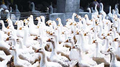 跳出“水圈” 趟出“水路”