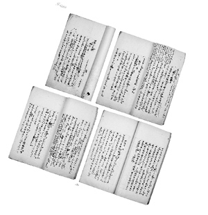 7成网友难舍方言 5成网友支持中小学开“河南课”