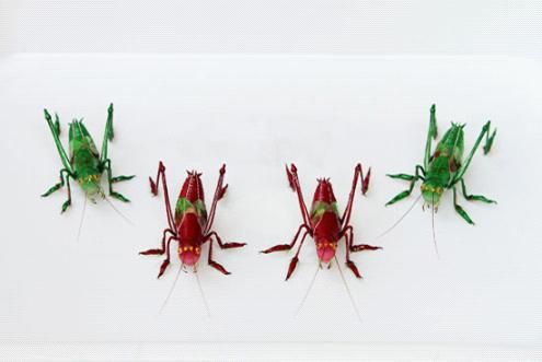 安阳滑县“非遗”秦氏绢艺吸引高校学子暑期实践