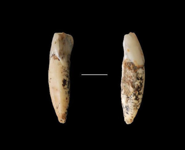 ﴨҶʯѡ2012ʮ󿼹·