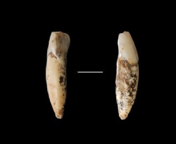 ﴨҶʯѡ2012ʮ󿼹·