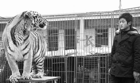 ̽ô˵еġȫѱһ塱÷ׯ