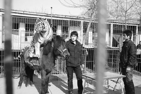 ̽ô˵еġȫѱһ塱÷ׯ