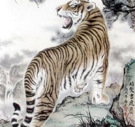 ��Ȩ����