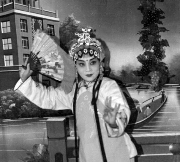 Ӱ  ǻ㡪ǴƽؾЭϯ׳