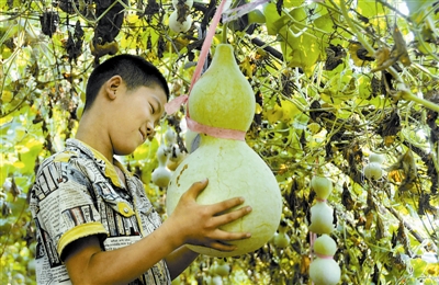 父子种葫芦 烙画招“福禄”