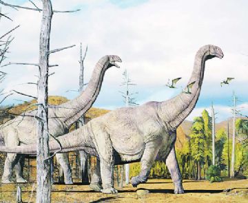 河南发现的多种恐龙