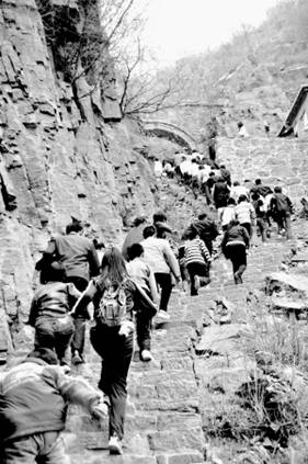 عɽ滨ߡ滨ӭˡɽĻ