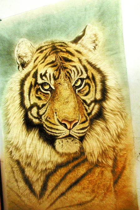 民权县北关镇王公庄村“画虎村”的变与不变