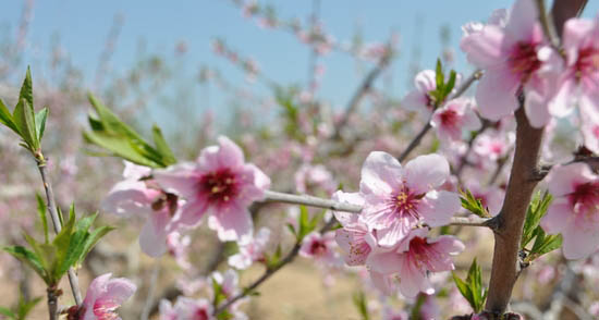 ڴ̨ óϷͨصڶһڿĻ