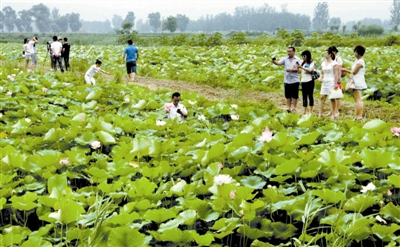 Ͻطչ۹ũҵ조彭ϡ