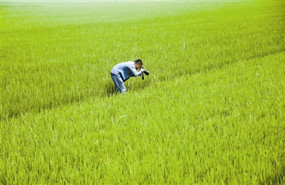 Ͻطչ۹ũҵ조彭ϡ