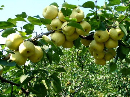 ĽժڿĻ ֳĿǩԼ15Ԫ