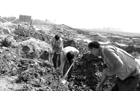 Ѷ-ƽڳͭǮѰ ˻Ϊս