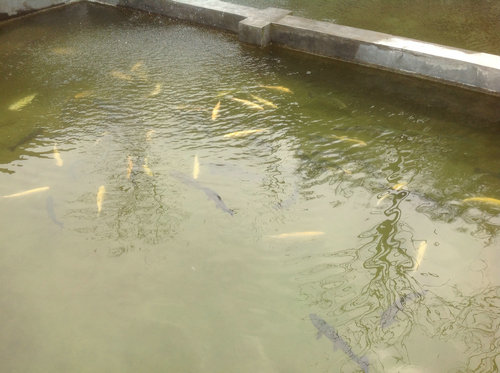 ̫ɽġϰ塱кֳרҵ³