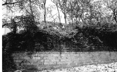 ѳɲԫϱڣ޸Ϊ Ϻִ10ųǽ״