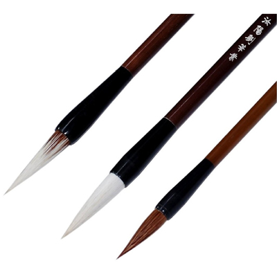 ĻŲ֪ʶ-ëʵѡȡ֪ʶ