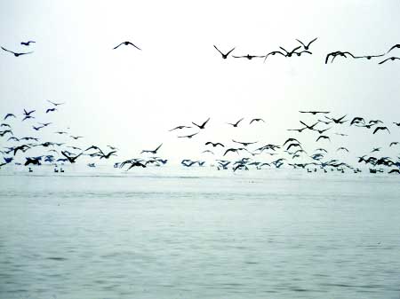 ɽˮƷ-פѼˮ羰쾫ƷƷ