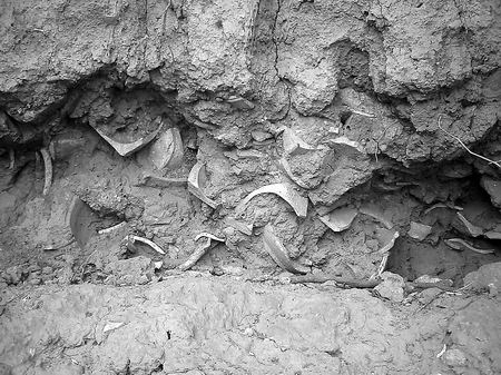 ໨ɵĹ硪֣ݹҤϵ֮塡໨ӹ