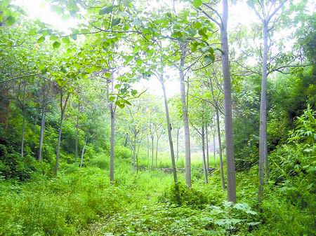 ƹҤʤƹҤҤϵ֮ǧǧʵ