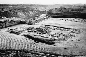 三杨庄遗址可能改变中国农学史