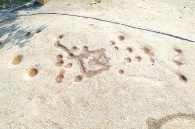 Ѽӷǧദʷǰһ ֳͼ