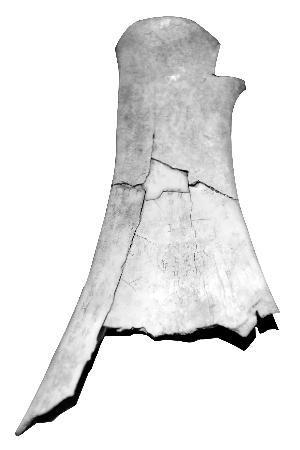 ̳ÿ춼ɶ ʳⲻ סɱӤլ