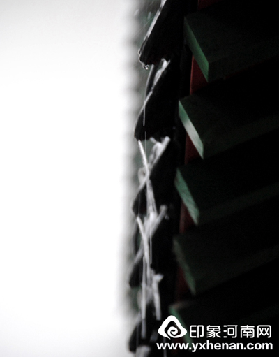 春雨细润唐人街