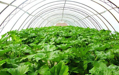 ʮ硢ׯֱ߲֮硱͡ŻҬ֮硱