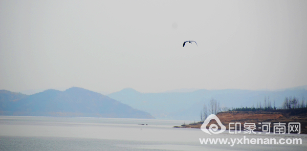 2017ԶϬţ¼ڼԴƺϿ