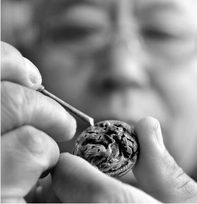 СҺдǬҼĿΫ˵շչ۲