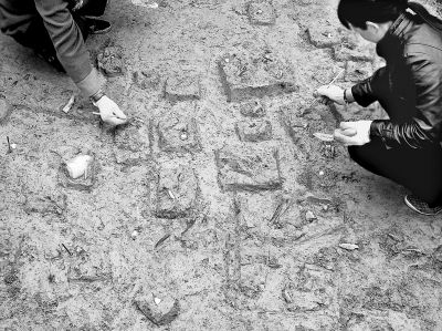 ݻозй áˡоĿˡѧռ