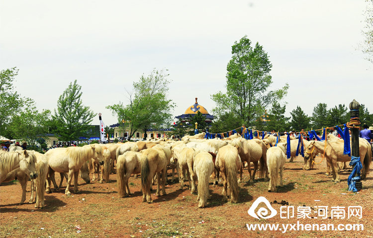 ʡĻоУίԱȫУմɹŲμ磨2018ɼ˼³˴