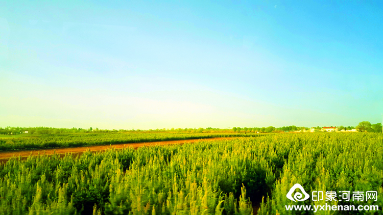 ʡĻоУίԱȫУմɹŲμ磨2018ɼ˼³˴