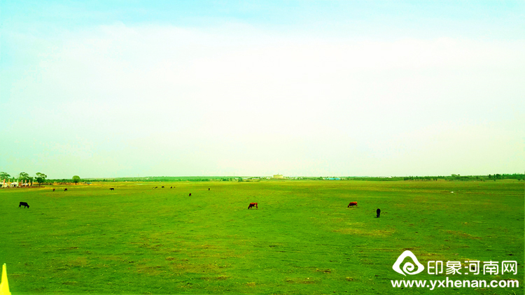 ʡĻоУίԱȫУմɹŲμ磨2018ɼ˼³˴