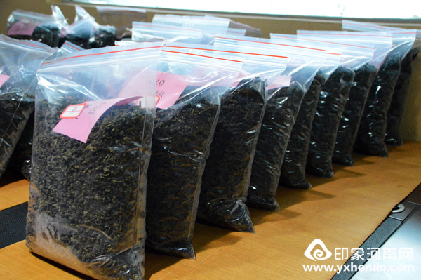 ڶ죨2015ԭũ֣˽Ļ㳡